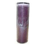 7 DAY Candle PLUM WITCH BAT CAT ON BROOM Prayer Alter Ritual spell Glass 100 hrs
