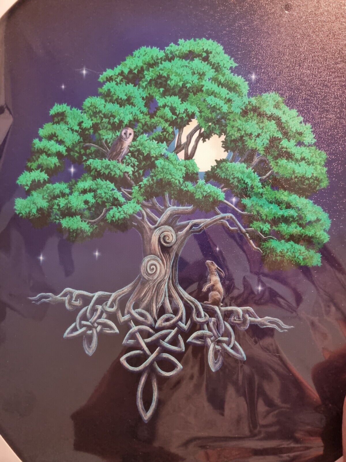 Tree of Life Canvas Art print Poster Lisa Parker